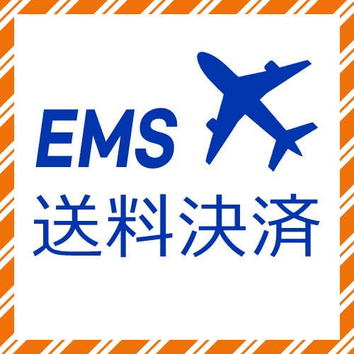 【EMS送料追加決済】