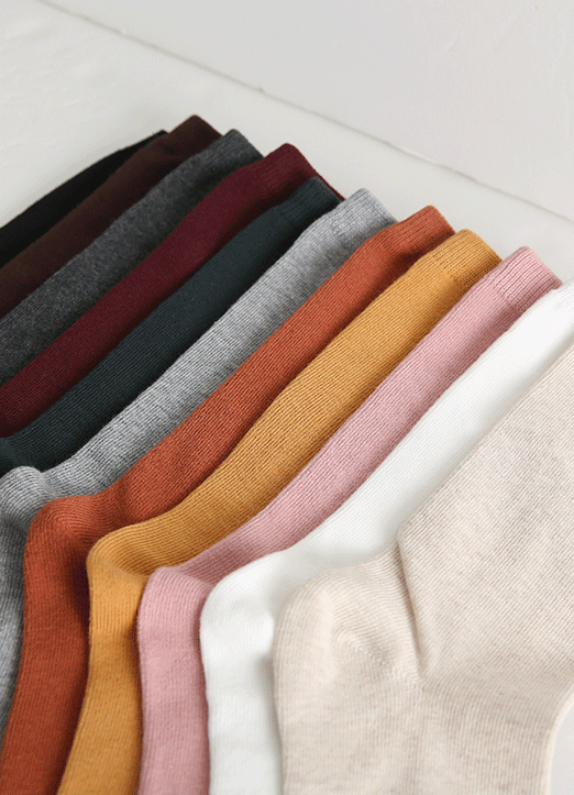 11カラーベーシックソックス ac29482